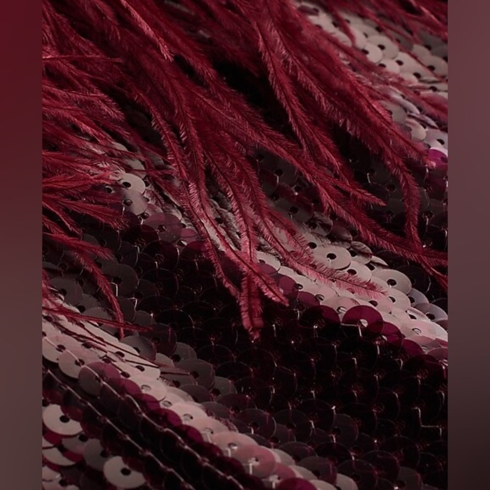 NWT express burgundy sequin feather trim
Mini dress XL $260 - Picture 8 of 9